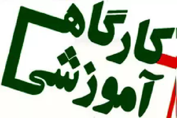 کارگاه چگونگی نشست های علمی و خبری برگزار می شود.